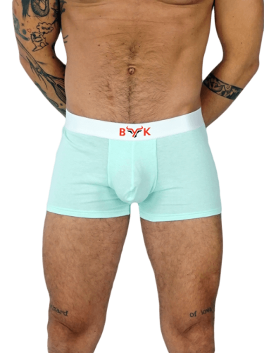 Bokserki CasualGuy Mint1.png