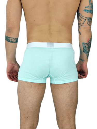 Bokserki CasualGuy Mint2.png