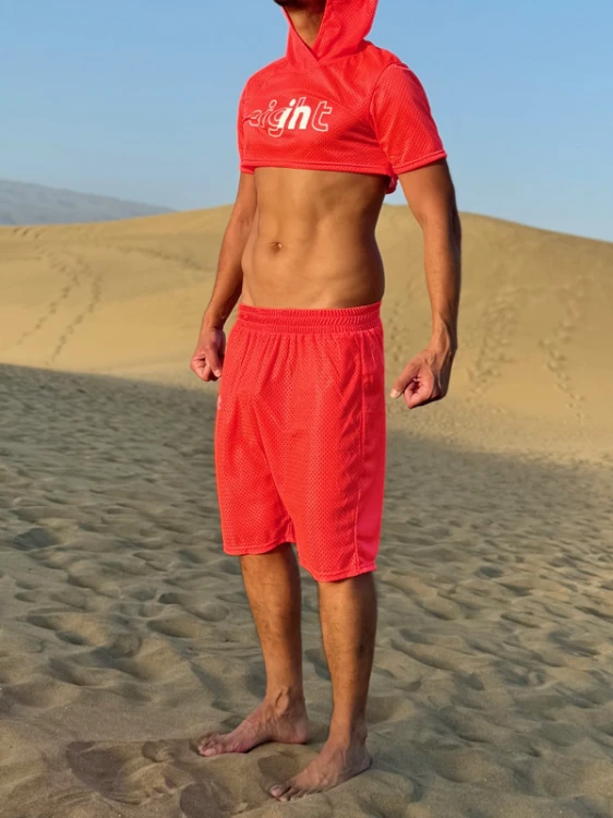 Mesh Crop Top Pink _ Mesh Pants Pink2.png