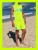 Pique Sleeveless Limon0.png