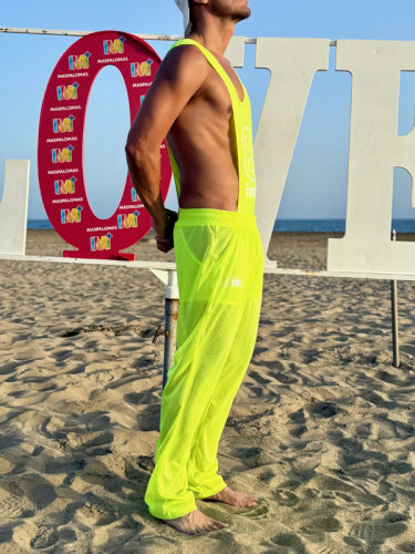 Mesh Pants Limon1.png