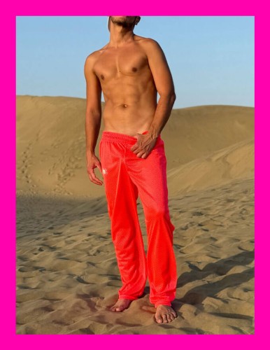 Mesh Pants Pink0.png