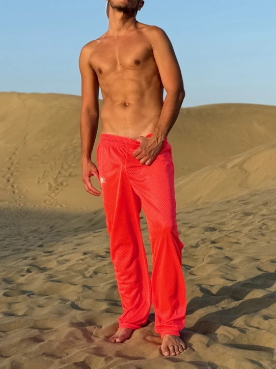 Mesh Pants Pink2.png
