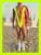 1Lycra Mankini Limon1.png